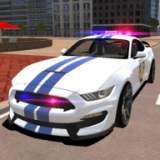 MustangPoliceCarDri