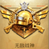 平板视角pubg安卓版