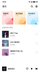 QQ音乐Flyme版截图2