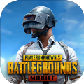 绝地求生刺激战场地铁逃生国际服安卓最新版(PUBG MOBILE)