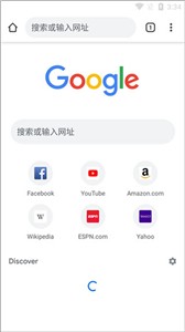 谷歌浏览器截图1