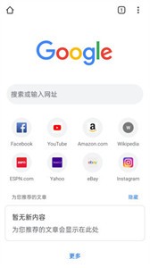 Google浏览器app截图3