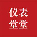 仪表堂堂app