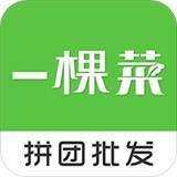 一棵菜安卓版